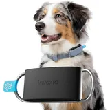 Invoxia Minitailz - Gesundheits- und GPS-Tracker für Hunde #1 - Herz- und Atemscans - Echtzeitstandort - Analyse von Aktivität und Wohlbefinden - Kompakt, leicht