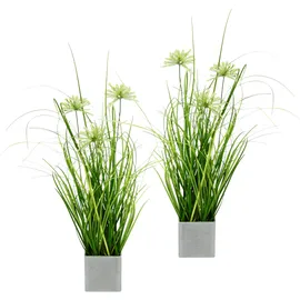 I.GE.A. Kunstpflanze Grasbusch im Topf Gras, I.GE.A., Höhe 32 cm, 2er Set Gräser Kunstgras Dekogras Grünpflanze Pflanze Kunstblume grün