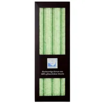 Kerzenfarm Hahn Stearin Stabkerze Set  mint