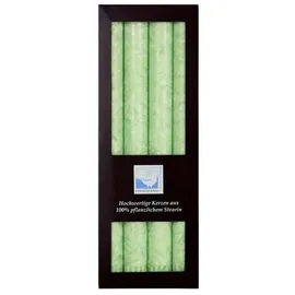 Kerzenfarm Hahn Stearin Stabkerze Set  mint