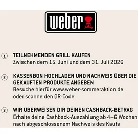 Weber Spirit E-335 schwarz 1500913