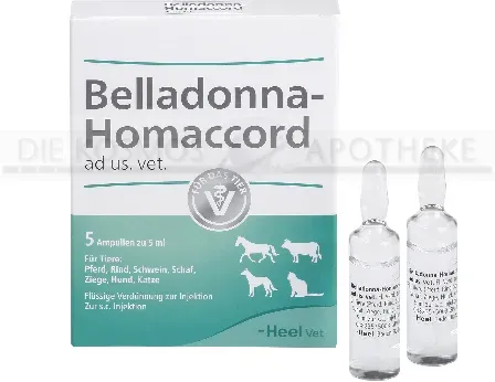 BELLADONNA HOMACCORD ad us.vet.Ampullen 5 St