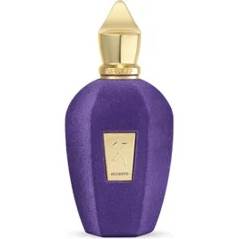 Xerjoff Accento Eau de Parfum 100 ml