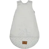 Sterntaler Babyschlafsack 62/68 Dino Rexi - Schlafsack leicht wattiert aus weichem Polycotton - mit 2-Wege Reißverschluss & Druckknöpfen an Schulter, graublau