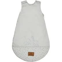 Sterntaler Babyschlafsack 62/68 Dino Rexi - Schlafsack leicht wattiert aus weichem Polycotton - mit 2-Wege Reißverschluss & Druckknöpfen an Schulter, graublau