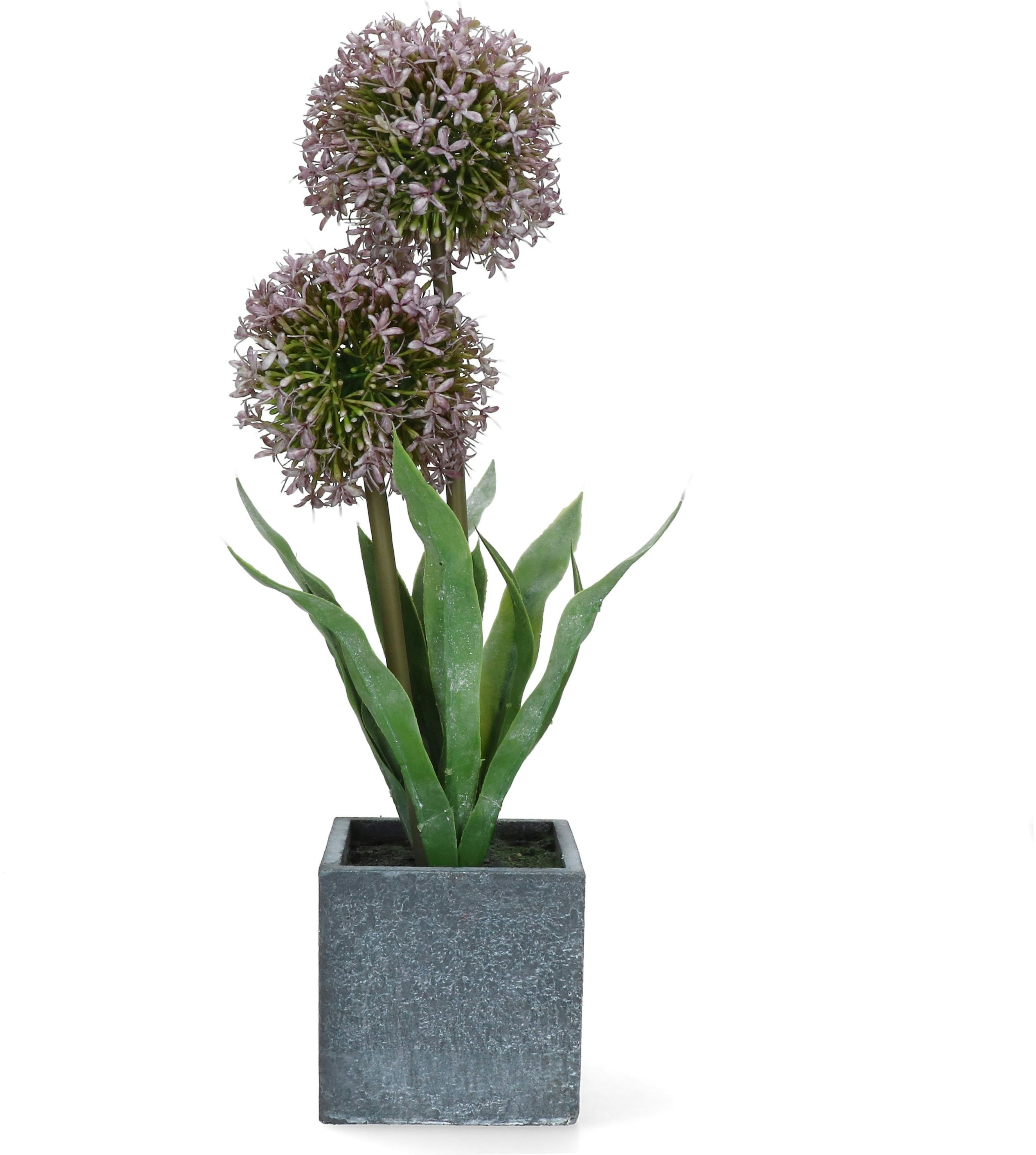 B. F. Topfpflanze LAUCH lila aus Kunststoff - 1012228