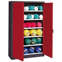 C+P Ballschrank mit Vollblech-Flügeltüren (Typ 3), HxBxT 195x120x40 cm,