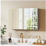 kleankin Spiegelschrank 60 cm grau
