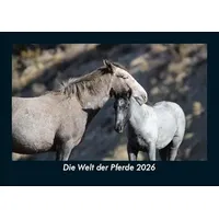 Vero Kalender Die Welt der Pferde 2026 Fotokalender DIN
