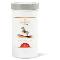 Equine 74 Ergänzungsfutter Gastric Pellet