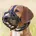 Muzzle Flex Maulkorb Gummi M L Schwarz