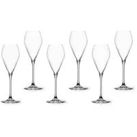 Spiegelau Champagnerglas 0,23 l 6-tlg.