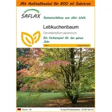 SAFLAX - Garden in the Bag - Lebkuchenbaum - 200 Samen - Mit Substrat im passenden Standbodenbeutel - Cercidiphyllum japonicum