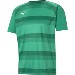 Puma Teamvision Jersey pepper green-power green-puma white (05) L