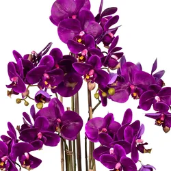 CREATIV green künstliche Pflanze Phalaenopsis x5, ca 75cm lila, in Kunststoffvase schwarz 30x17x12cm, Real Touch