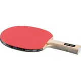 idee+spiel 744-74410 VIVA SPoRT Tischtennis-Schläger ArGento