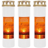 HS Candle Grabkerze Grablicht - 3er Pack - mit Motiv (Sonnenuntergang) - ca 170h / 7 Tage Brenndauer je Kerze (26cm, Ø 7cm) - viele versch. Designs