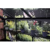 Juliana Lamellenregal »Gärtner«, 19,5 cm, tief, für Gewächshaus Gärtner - schwarz