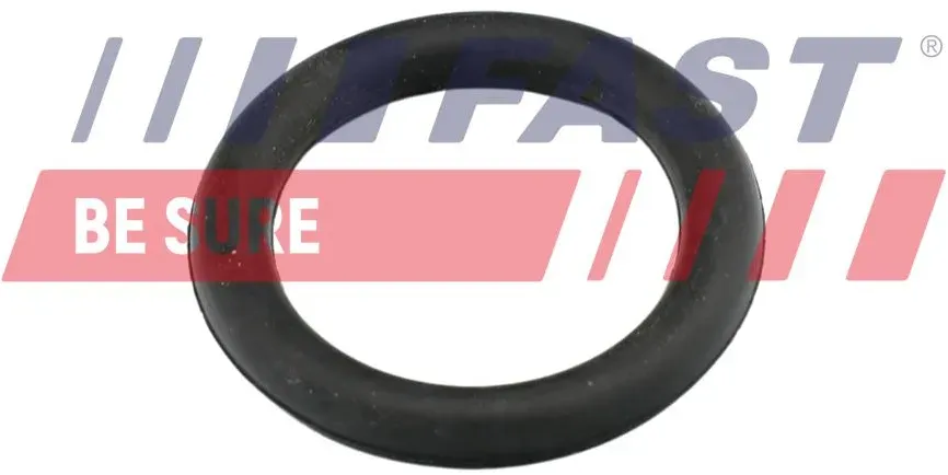 FAST Dichtung, Ansaugkrümmergehäuse ft49419 für Fiat Citroën