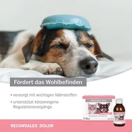Alfavet ReConvales Dolor 3 x 90 ml