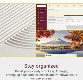 Dell S2425HS 24" schwarz/silber