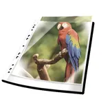 Durable Schnellhefter DURALUX A4 gn Überbreite u Beschrfenster