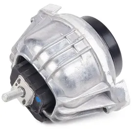 CORTECO Lagerung, Motor