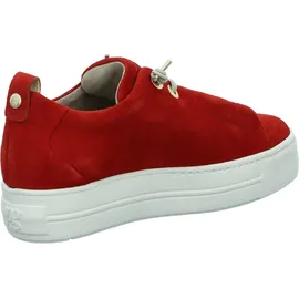 Paul Green 5017 salsa 38
