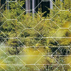 Forst-Sechseckgeflecht