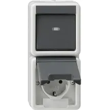 Gira Kombi AusWe/SCHUKO senkr. KD Grau 1 St.