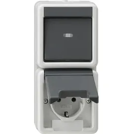 Gira Kombi AusWe/SCHUKO senkr. KD Grau 1 St.
