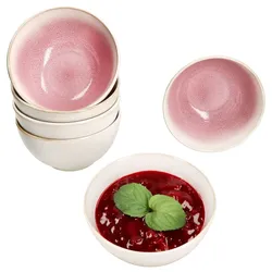 6er Set Reactive Glaze Paris Müsli-Schale 400ml 6 Pers Pink Schüssel Obst Salat