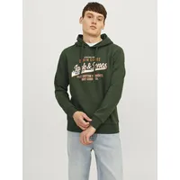JACK & JONES Logo 2 Col Kapuzenpullover Kombu Green