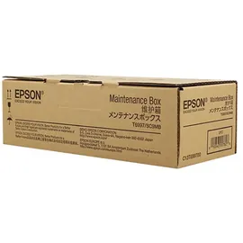 Epson T6997
