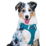 Petlando Mesh Vest Hundegeschirr Petrol L