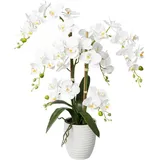 Kunstorchidee Deko-Orchidee Phalaenopsis im Keramiktopf Orchidee Phalenopsis, Creativ green, Höhe 67 cm weiß