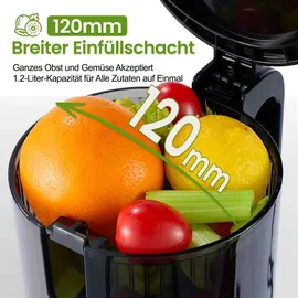ventray Max 120 Slow Juicer schwarz