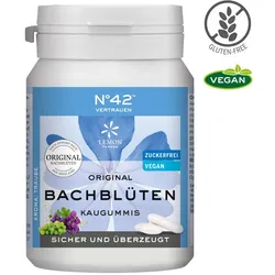 SELBSTVERTRAUEN Kaugummi nach Dr. Bach 40 St Kaugummi