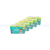 Babywindeln Pampers Baby Dry Größe 4 Maxi 9-12 kg 530 Stück 3-Monats-Vorrats-Pack, für bis zu 100 % Auslaufschutz