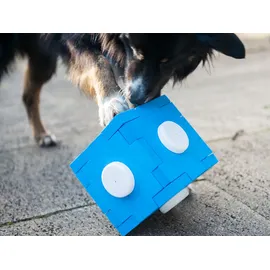 Procyon Schnüffel Cube, Schnüffelspaß für Hunde, Hundetraining, Geruchssinn