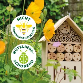 Solabiol Zünsler- & Raupenfrei Insektizid 15 ml