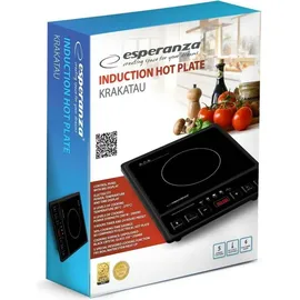 Esperanza EKH011 Schwarzer Induktionsherd