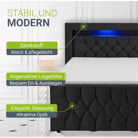 Juskys Boxspringbett Leona - Samt & Schwarz