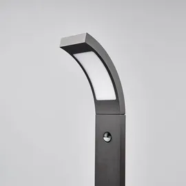 LUCANDE Wegeleuchte Aluminium 100 cm inkl. Bewegungsmelder schwarz