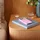 Apple iPhone 17 Pro Max Case mit MagSafe kieselrosa