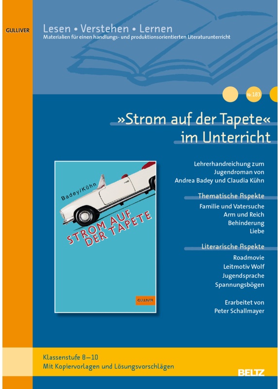 "Strom Auf Der Tapete" Im Unterricht - Peter Schallmayer, Geheftet