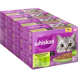 Whiskas Senior 7+ Katzennassfutter Gemischte Auswahl in Sauce, 48 Portionsbeutel, 12x85g (4er Pack) – Hochwertiges Katzenfutter nass, für Katzen ab 7 Jahren und älter