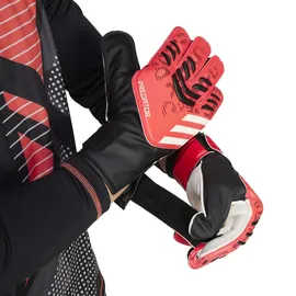 adidas Predator Training Schwarz/Lucid Red/Schwarz 12