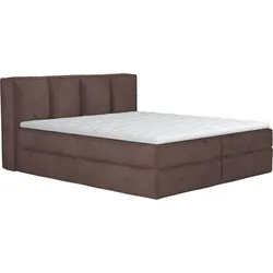 Boxspringbett HOME AFFAIRE "Sacy", braun, B:170cm L:230cm, 100% Polyester, Komplettbetten, Boxbett inkl. Topper, 2 Matratzen, Härtegrade H2, H3 und H4 wählbar