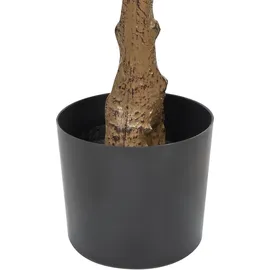 Beliani Kunstpflanze Fig Tree 162 cm, Grün